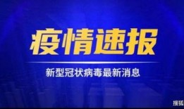 鼎丰集团爆料事件视频最新,事件最新进展与内幕曝光