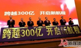 河北省保险业最新爆料,揭秘最新市场爆料与趋势