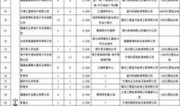宁德最新爆料,揭秘新能源汽车产业新动态！”