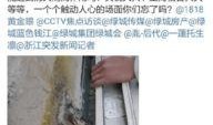 绿城纵火爆料最新消息新闻,最新消息揭露惊人内幕，揭秘事件真相