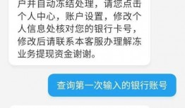 资金最新爆料消息怎么写,揭秘市场热点与投资风向
