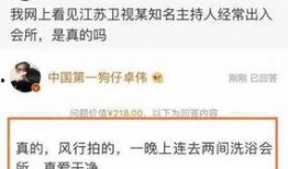 卓伟最新爆料徐璐事件,真相背后引热议