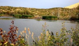 成都白沙湖最新爆料消息,揭秘神秘项目与周边发展动态