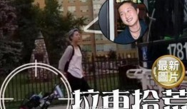 天龙之子最新爆料视频,揭秘神秘势力与奇幻冒险的交织